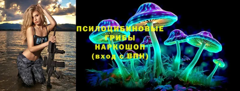 мега зеркало  Краснотурьинск  Галлюциногенные грибы MAGIC MUSHROOMS 